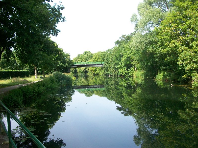 117.JPG
