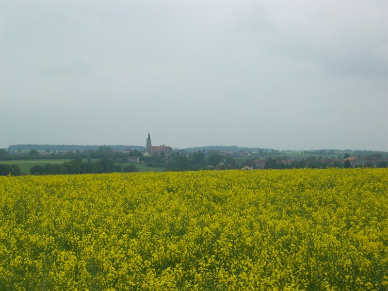 189.jpg