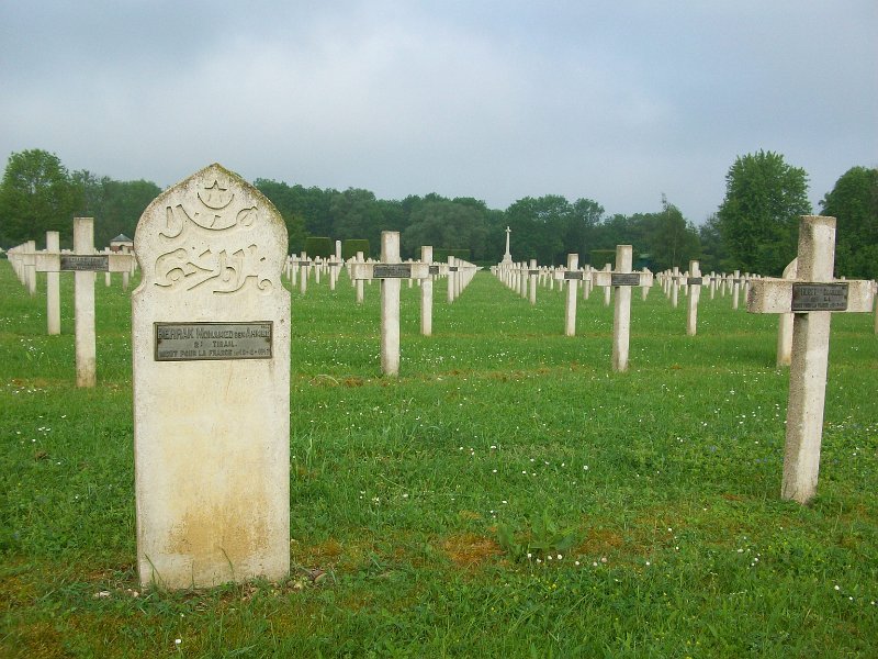 246.jpg
