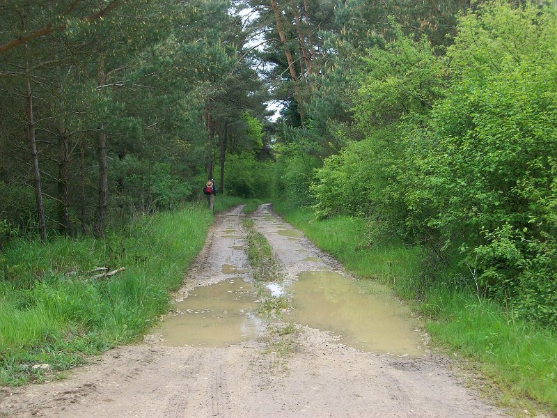 412.JPG