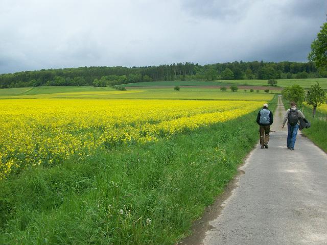 49.JPG