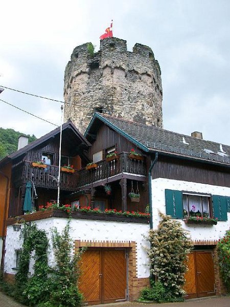 154.jpg