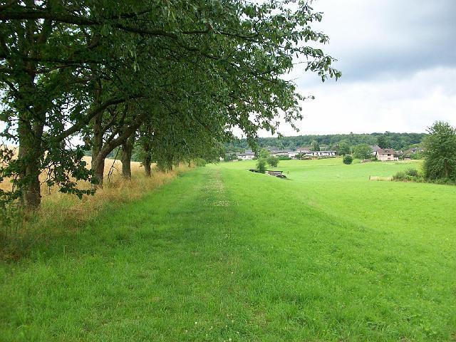 324.jpg