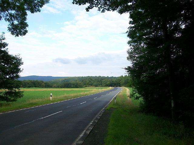 340.jpg