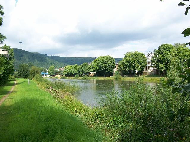 355.jpg