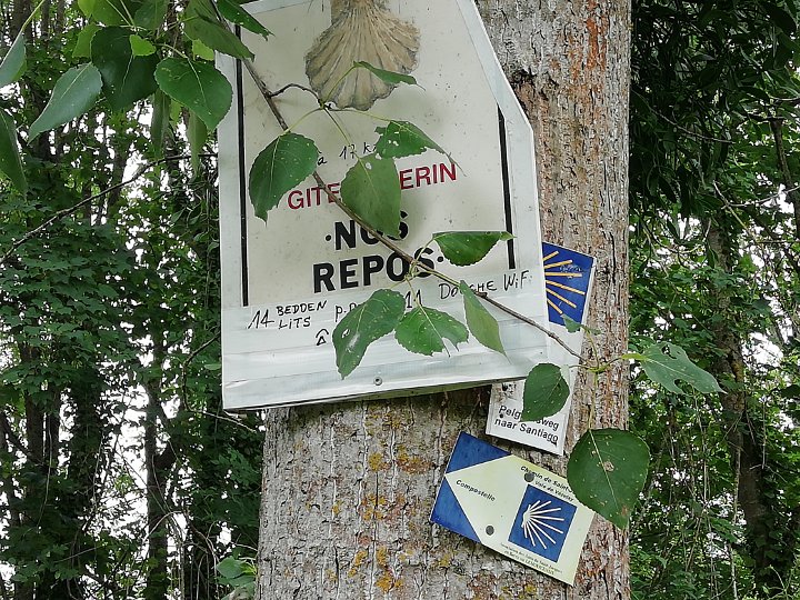 186.jpg