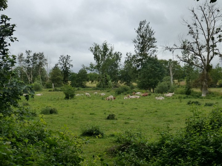 188.JPG