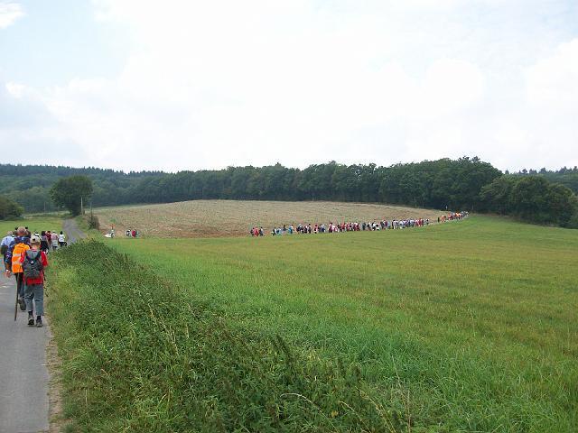 080.jpg