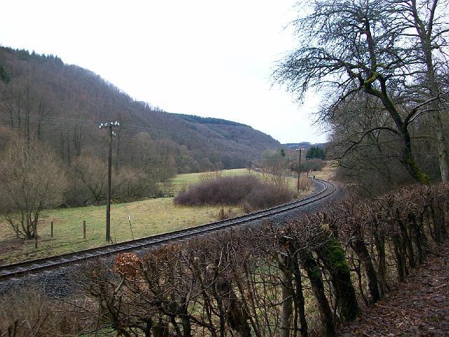 099.JPG