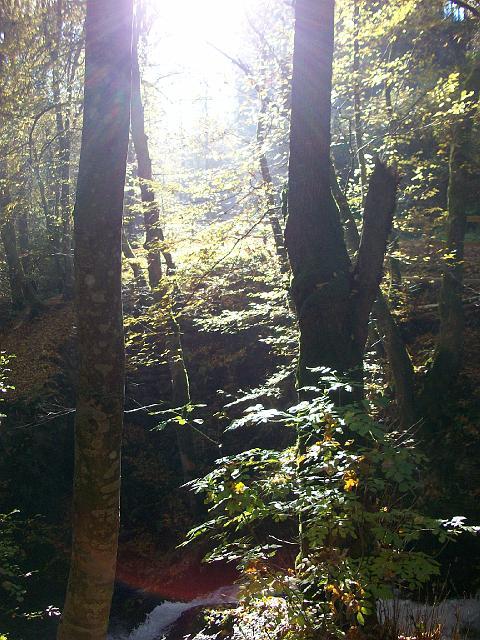 135.jpg