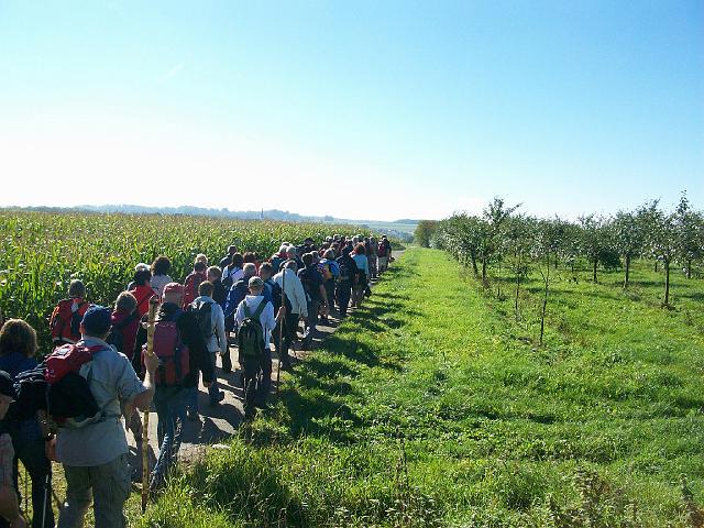 146.jpg