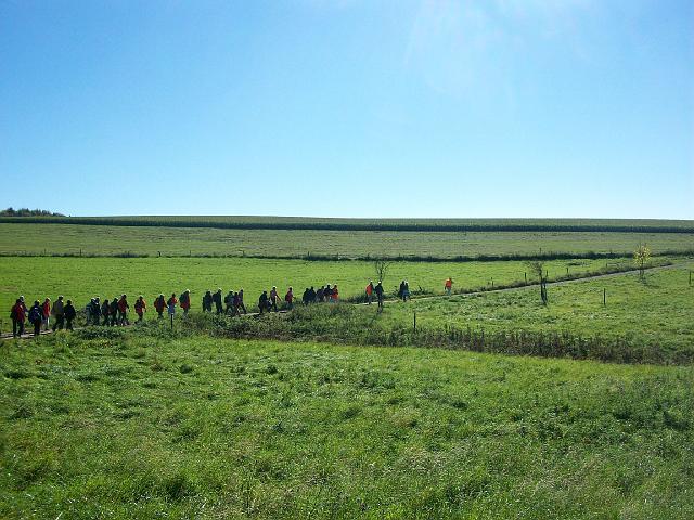 154.jpg
