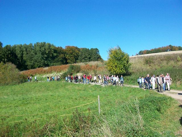 155.jpg