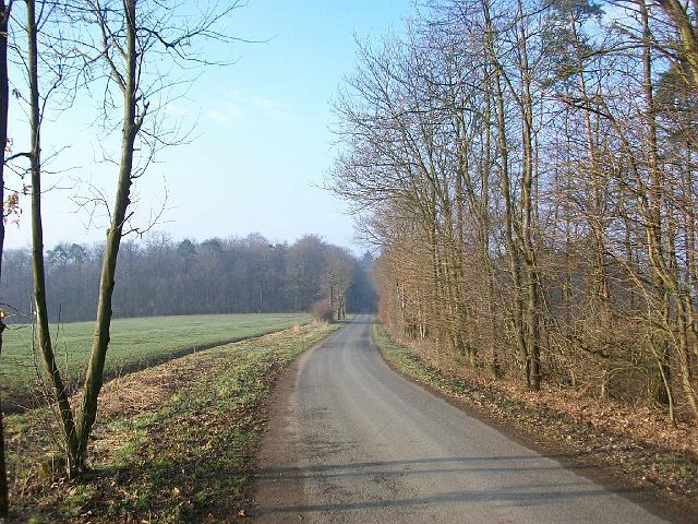 170.JPG