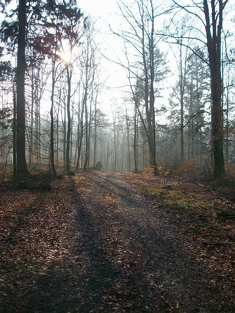 171.JPG