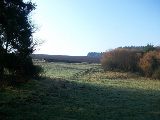 174.JPG