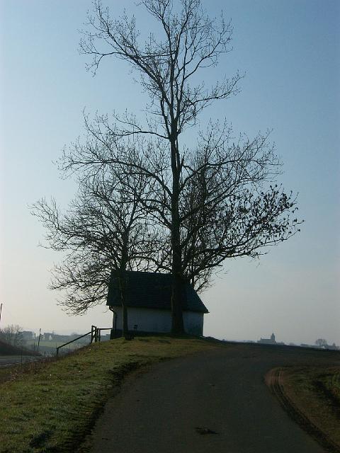 176.JPG