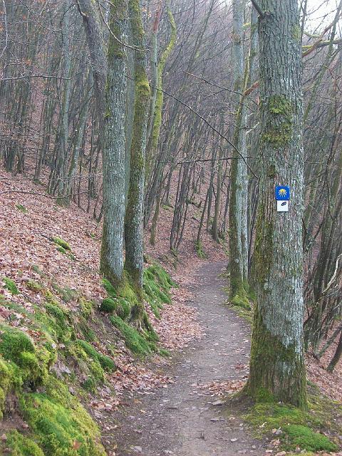 183.JPG