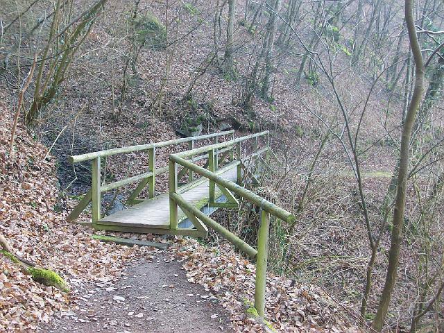 184.JPG