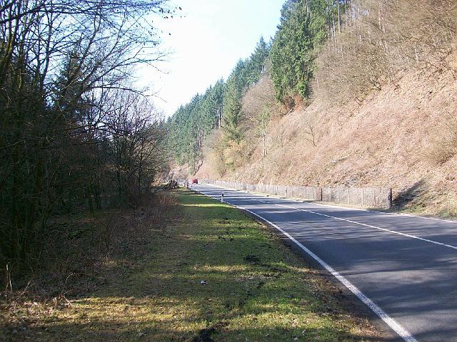 206.JPG