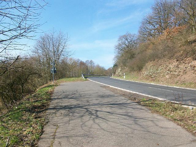 207.JPG