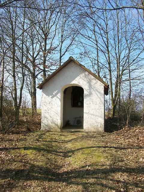 219.JPG