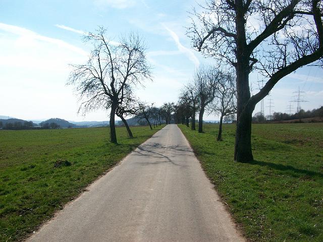 229.JPG