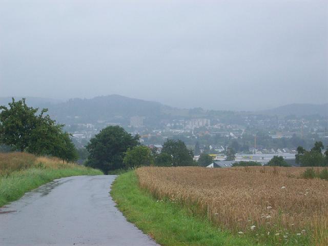 245.jpg
