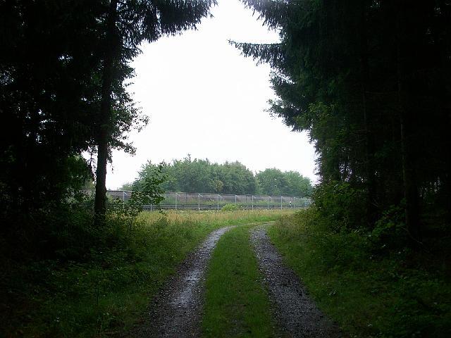 246.jpg