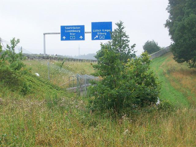 247.jpg