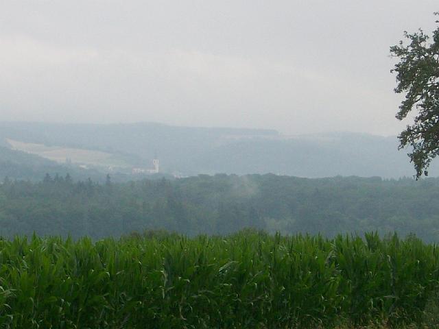 250.jpg