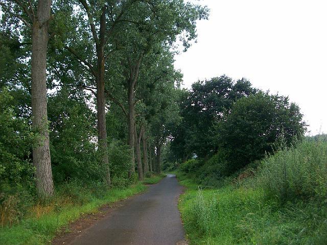257.jpg