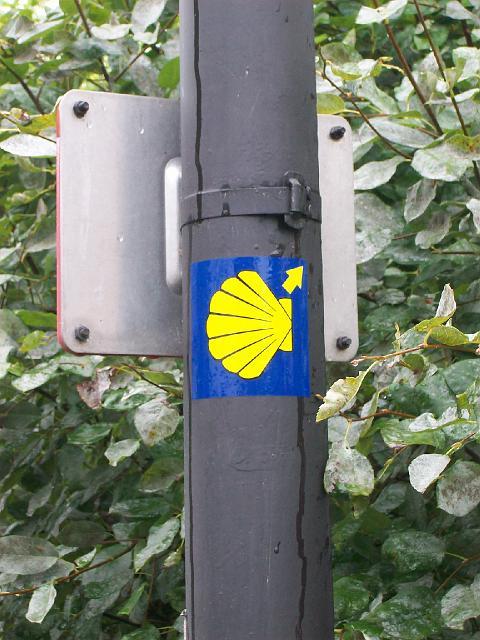 268.jpg
