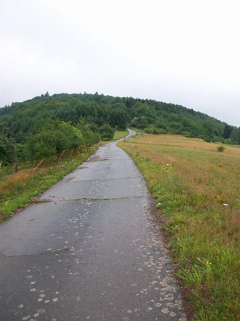 271.jpg