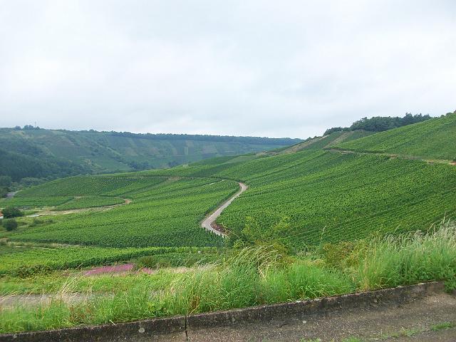 280.jpg