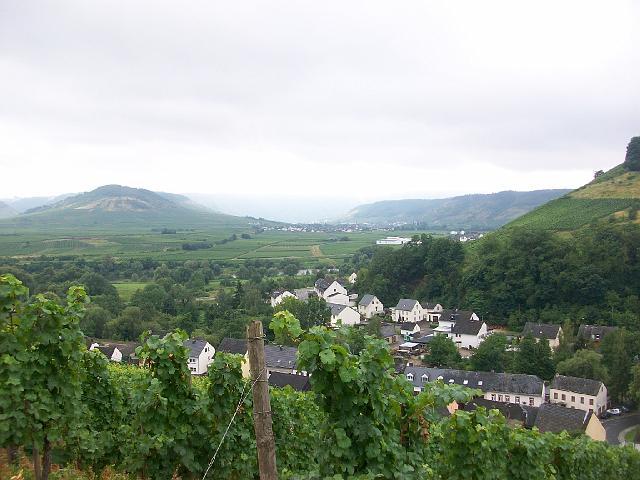 281.jpg