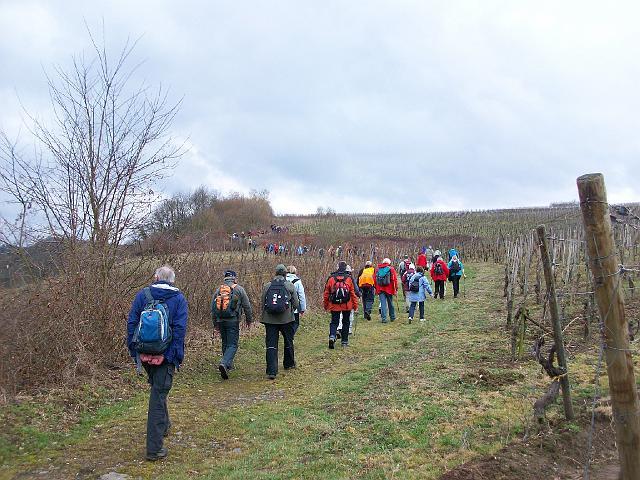 307.JPG