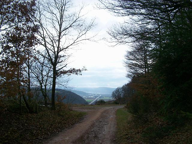 310.JPG