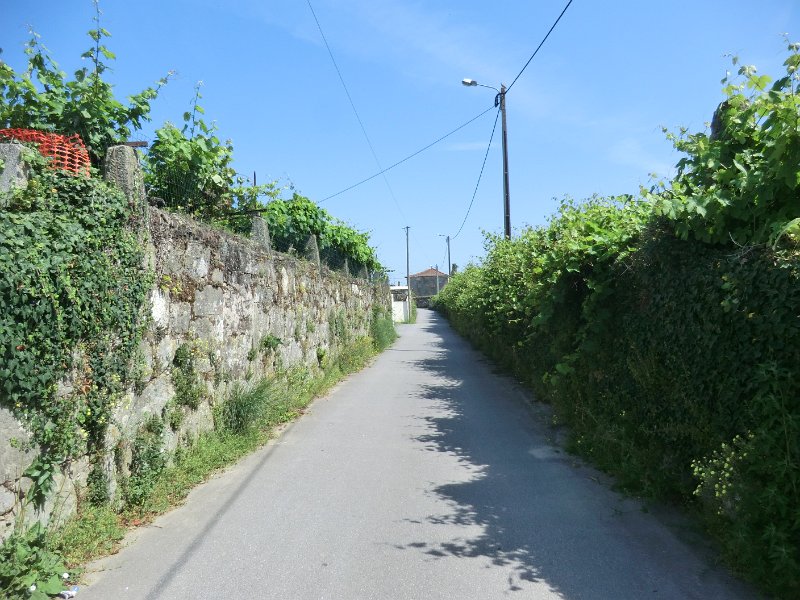 170.JPG