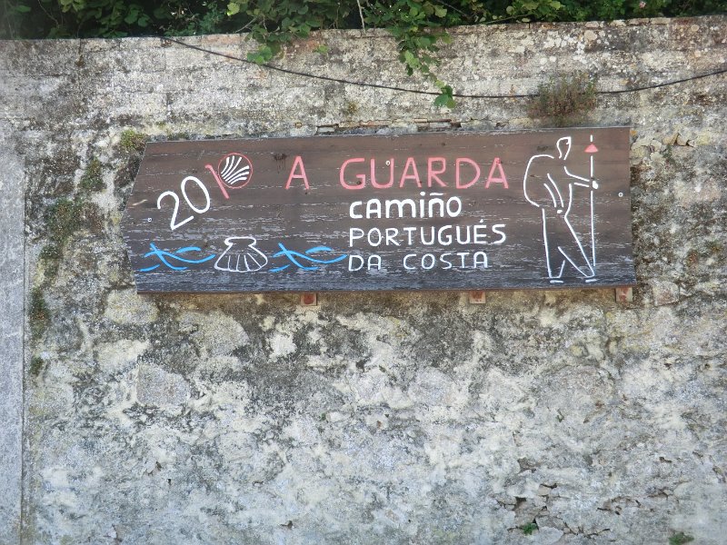229.JPG