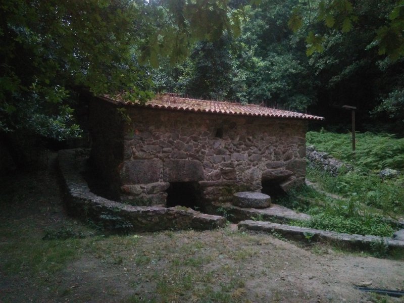 384.jpg